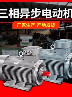 卧式铜三相异步电动机132M1132M24W5.5W6级电机YE3