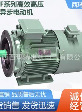 西安电机YXVF-4001-6极315W6V高压变频交流三相异步电动机