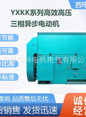 西安电机YX400-6极315W10V大外圆高压交流三相异步电动机