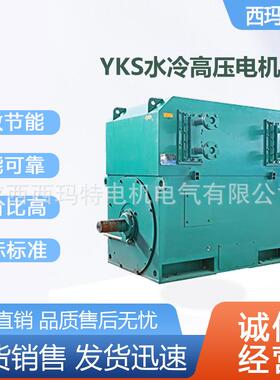 西安电机YS-5001-10极500W6V高压鼠笼型三相异步电动机厂