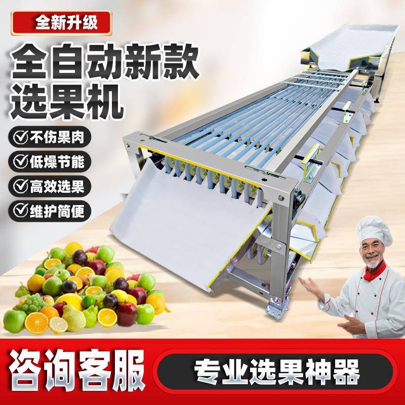 全新全自动选果机分选机李子圣女果金桔樱桃槟榔百香果水果分选机