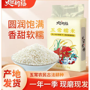 2025年东北五常糯米新米粽子糍粑年糕糯米酒糯米饭用农家圆粒米