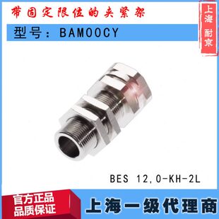 BAM00CY巴鲁夫BES