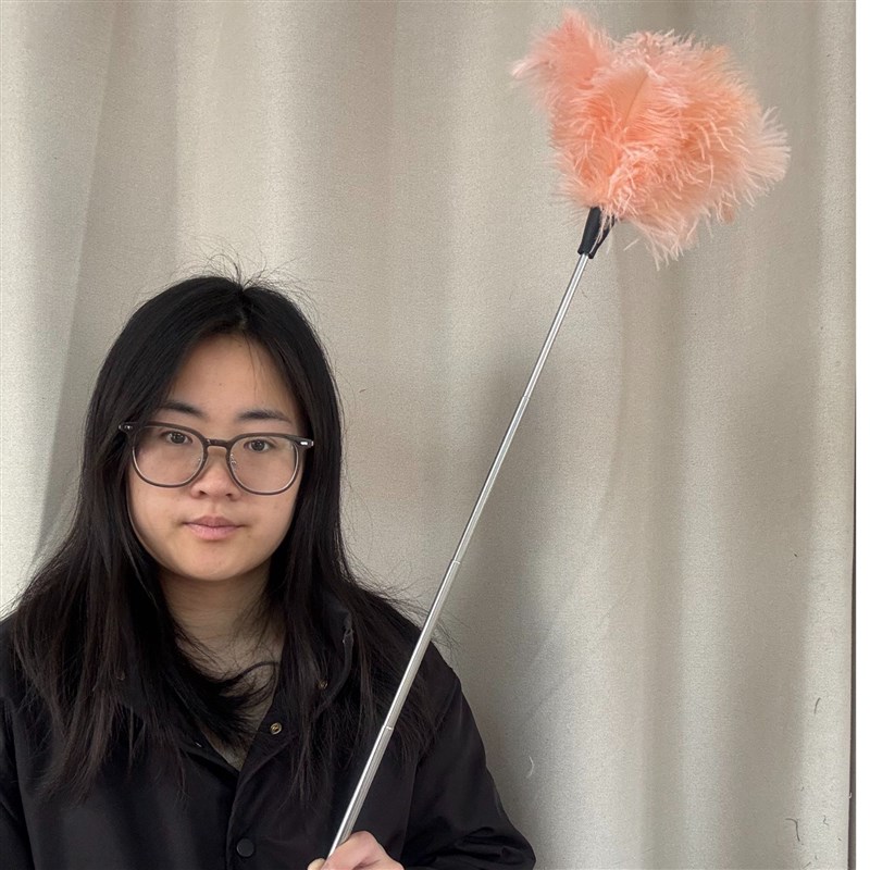 鸵鸟毛除尘鸡毛掸子可伸缩扫灰神器车用打扫掸家用装饰清洁多功能