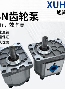 CBN-E304/E306/E308/E310/E312/E314/E316/E318/E320/E325齿轮泵F