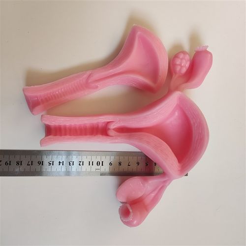 妇科宫腔镜外科腹腔镜剪切缝合剥离训练练习硅胶3D仿生模块模型