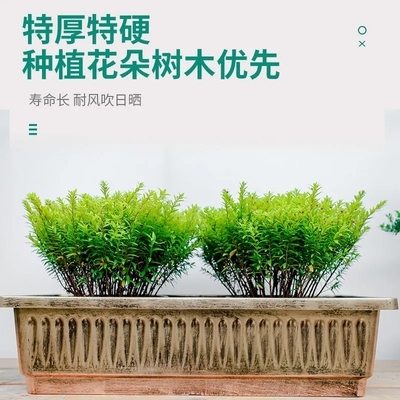 长方形花盆长条h型阳台专用塑料盆景种菜特大户外室外神器马槽花