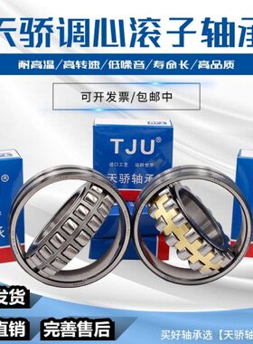 26  1922 密封20B222222S2222 22 S241822瑞典双 C调心滚子轴承