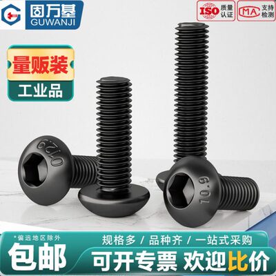 6度/头螺丝钉内六角螺丝.高M12杯圆9半圆12.9强盘-螺栓.10头1M级