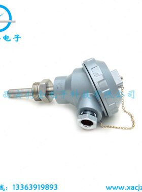 2/0/W5123250/240变送器0W温度传感器200WW12温度传感器/ W20