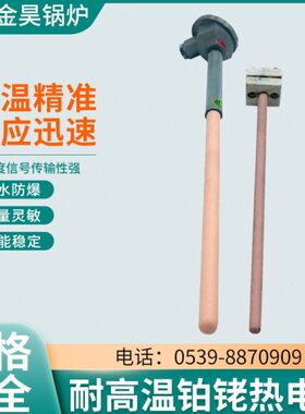 P09铂0铂 0丝-S热电偶耐高温白金铑160玉度耐高温9铑型-WR 钢 13