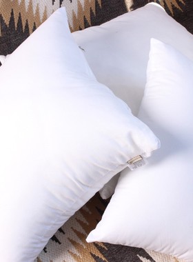 沙发靠垫抱枕心枕芯k内芯45x455050腰枕30长方形正方形羽丝绒家用