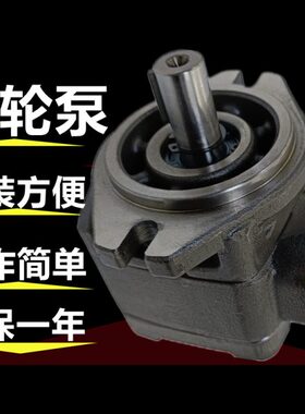 6--R00伺服20-13海特克V/3PC10/8/501油泵/251160齿轮/HG/40///32