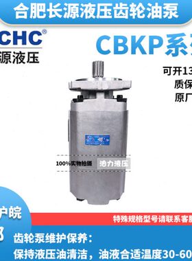 合肥长源齿轮油泵CBKP32/40/50/63/80/100-BFP/BFH/BFX/BFφ