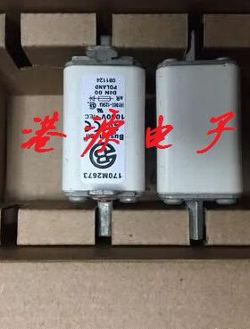 熔断器 170M3497 170L8429 170M5534 170M6557 170M4181 170M8639