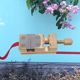 修表指针把头夹摆轮小台钳把管拿子铜固定座轮系夹零件迷你把头钳