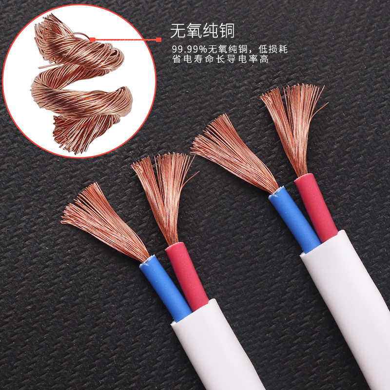 电线软线户外纯铜电缆线家用2芯 2.5 4 6平方铜芯护套线插头带线