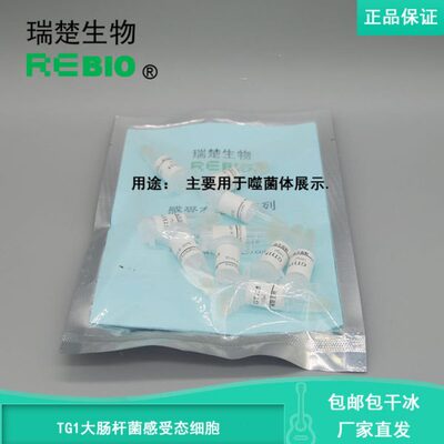 包邮包干冰含票TG1大肠杆菌感受态细胞10支20支30支50支100支