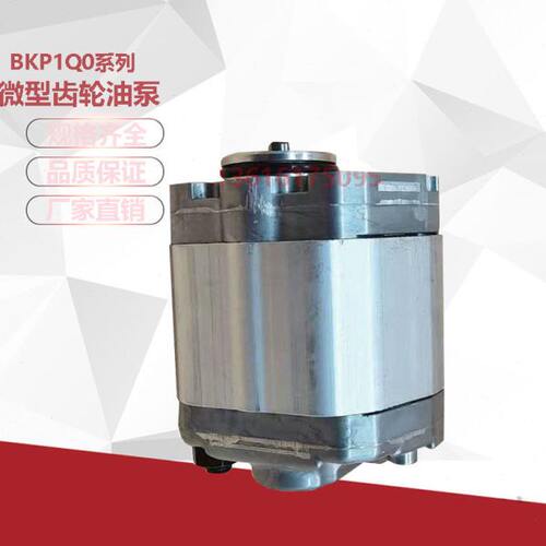 定制微型齿轮泵BKP1QOS0.8/S1.1/S1.6/S2.1/S2.7/S3.2/S4.8/7G0L1
