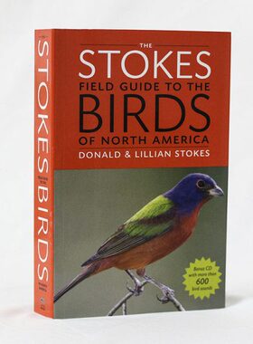 现代装饰书鸟类介绍书籍样板间别墅书房办公室摆件阅读装饰品道具