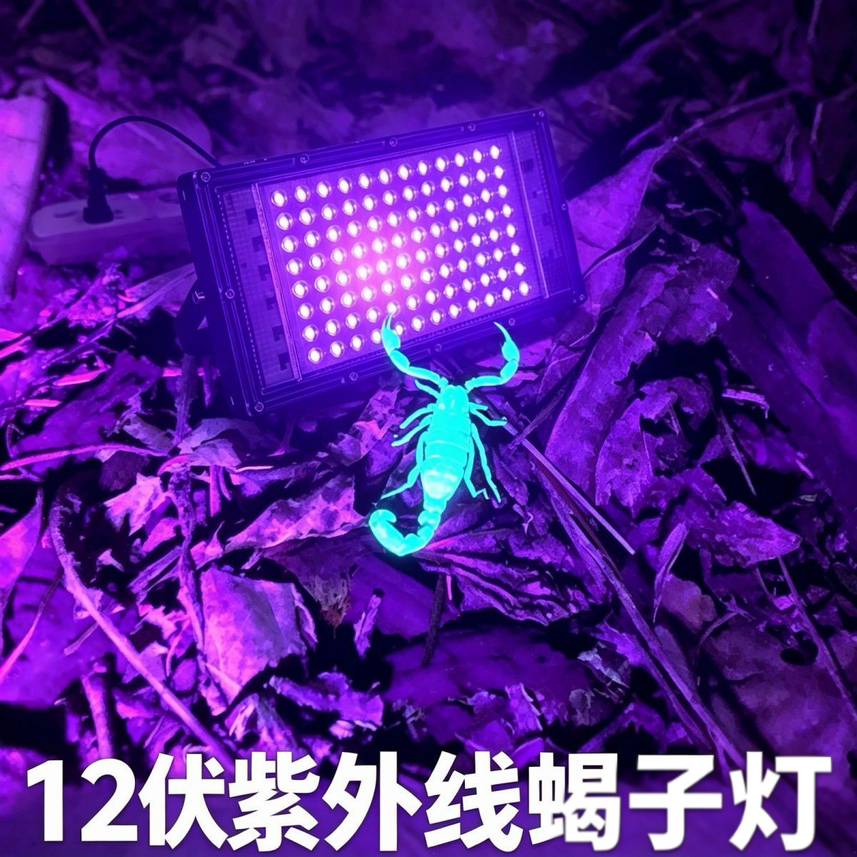 新款LED紫光户外大功率诱虫灯12V