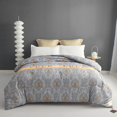 特级蚕丝被100桑蚕丝冬被子被芯加厚保暖8斤双人单人春.秋被空调