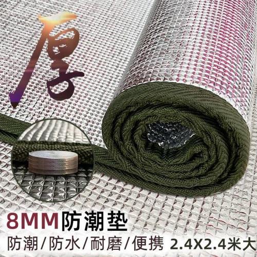 防潮垫加厚地垫防寒睡觉打地铺铺地面的垫子草地垫户外便携野餐垫