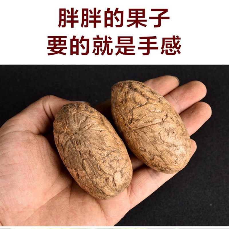 千眼菩提子原籽原料果菩提籽彩果绿果通货按O斤手把件包邮老料胖