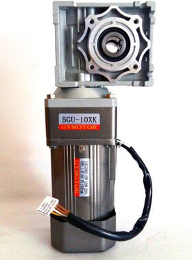 交流涡轮减速电机大速比RV040带中间箱40w60w90w120w140w220v