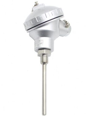 上海仪表WZPK2-236S双支铠装热电阻 Φ6 L=150mm -200-450℃ g3/4