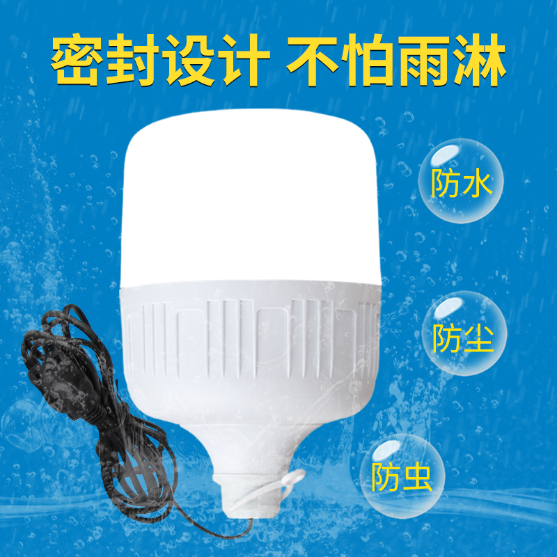 12v低压直流led灯泡电瓶灯电动三轮车照明灯夜市摆摊灯地摊灯