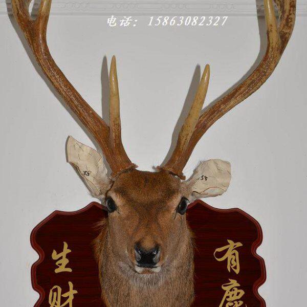 工艺鹿头标本壁挂A38欧式壁炉墙饰样板房会所酒吧家装饰聚财摆件