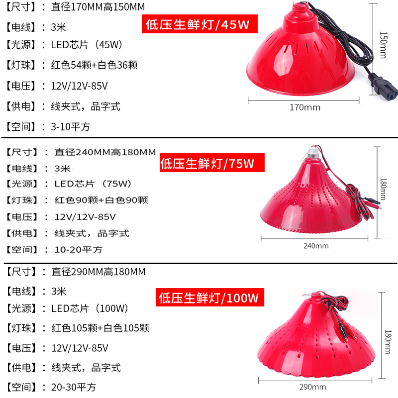 12V24V48V电瓶电动三轮车专用夜市摆摊led地摊水果熟食卤菜生鲜灯