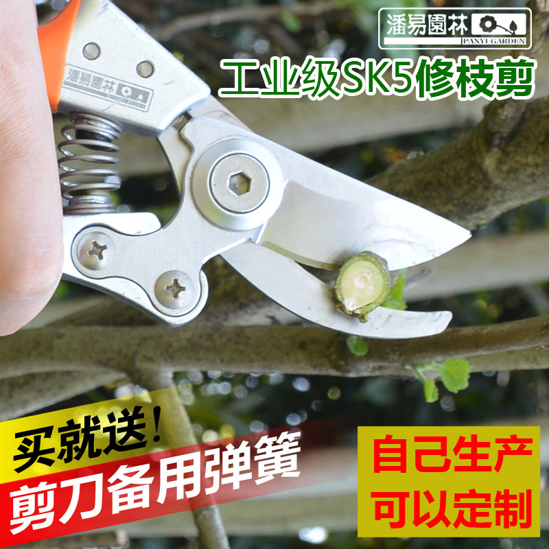 剪枝园艺剪刀剪树枝修枝剪果树枝剪葡萄剪子园林剪花艺剪刀工具