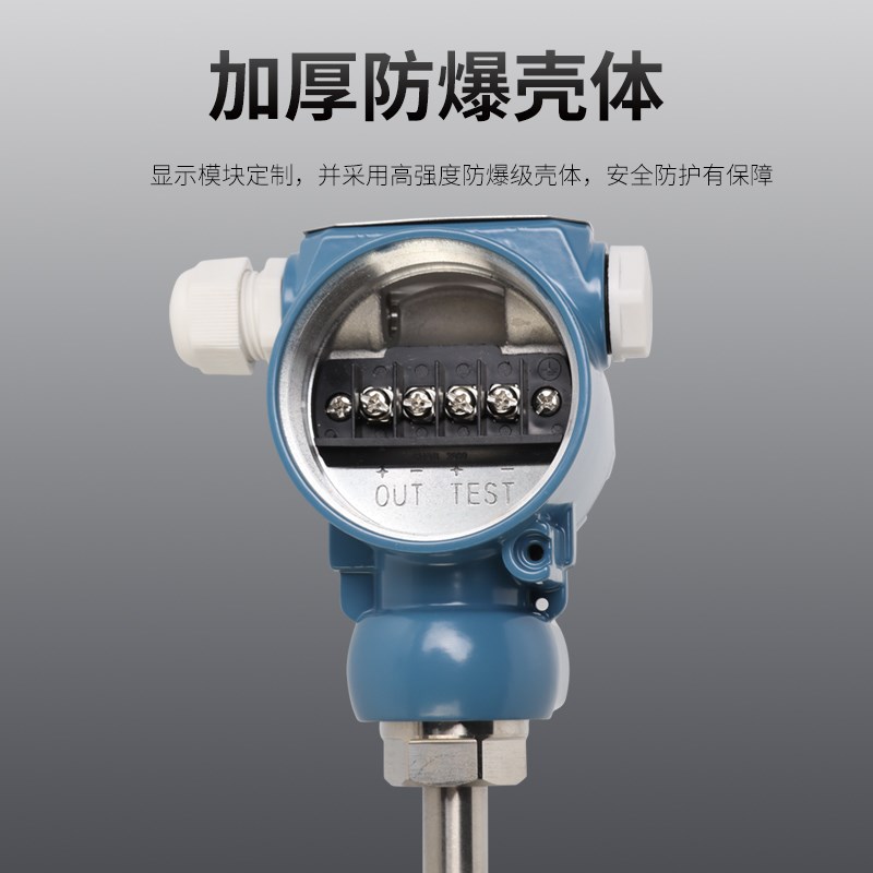 浮球液位变送器插入式磁浮子传感器磁性防爆型4-20mA干簧管液位计