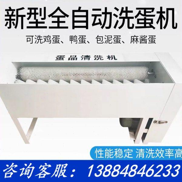 全自动洗蛋机商用小型毛刷鸡蛋鸭蛋清洗机新型蛋品清洗机器洗蛋器