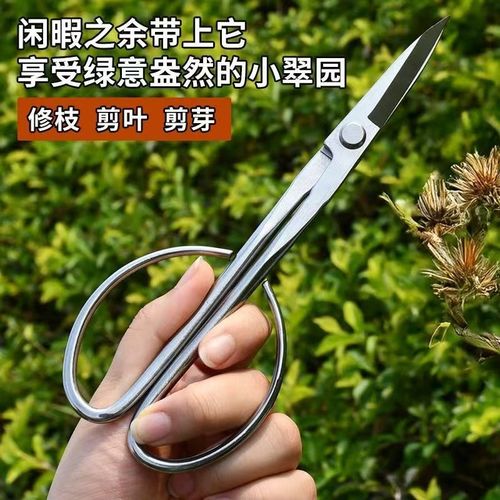 不锈钢叶芽剪盆景修剪花卉果树剪枝专用剪刀工具修枝枝叶剪园艺剪