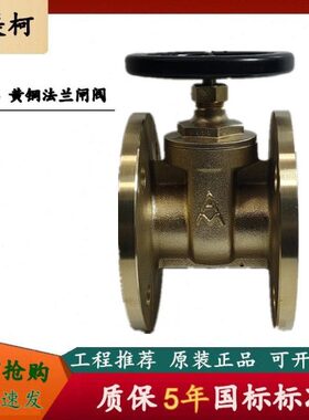 65 黄铜 闸阀N 0- 工程D168埃美柯Z 45法兰闸阀0T全铜W专用10