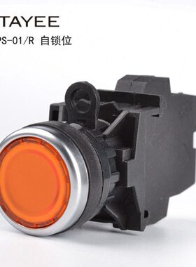 LA平RAEE天逸 上海PS自复位开关按钮开关0421 -Y钮/T