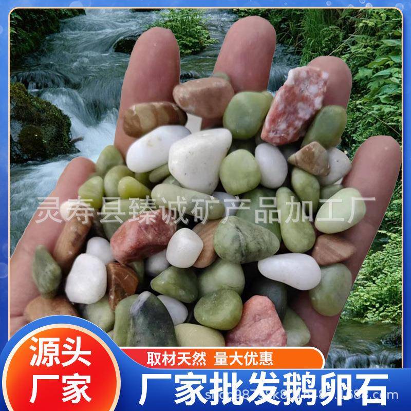鹅卵石地暖回填石园林造景雨花石铺路水池垫底石子石料