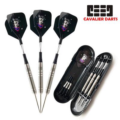 GOODARTS骑士飞镖针21g比赛级钨钢飞镖套装darts飞镖盒子