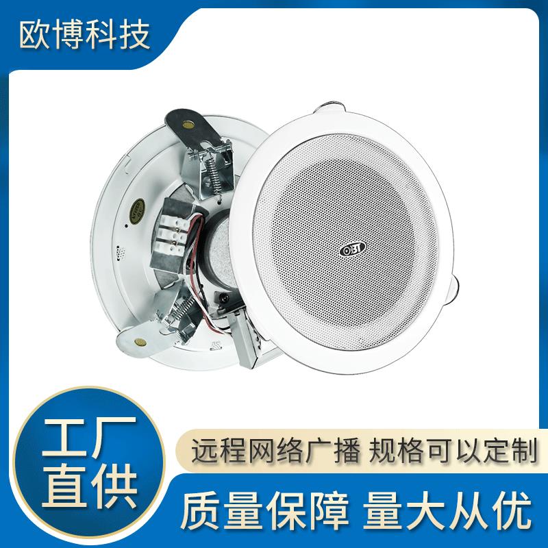 嵌入开孔套装同轴音响天花喇叭3W/6W公共广播70/100V吸顶吊顶音箱
