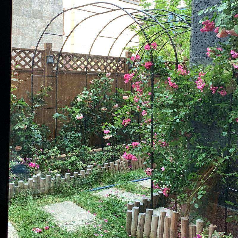 花架爬藤架月季花支架铁线莲攀爬架菜园户外花园铁艺拱门爬藤弘智
