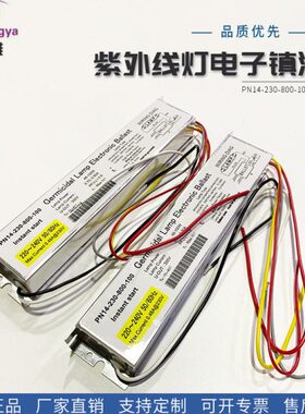 -N1P-002310-048灯00镇流器紫外线灯UW紫外线老化10电子镇流器