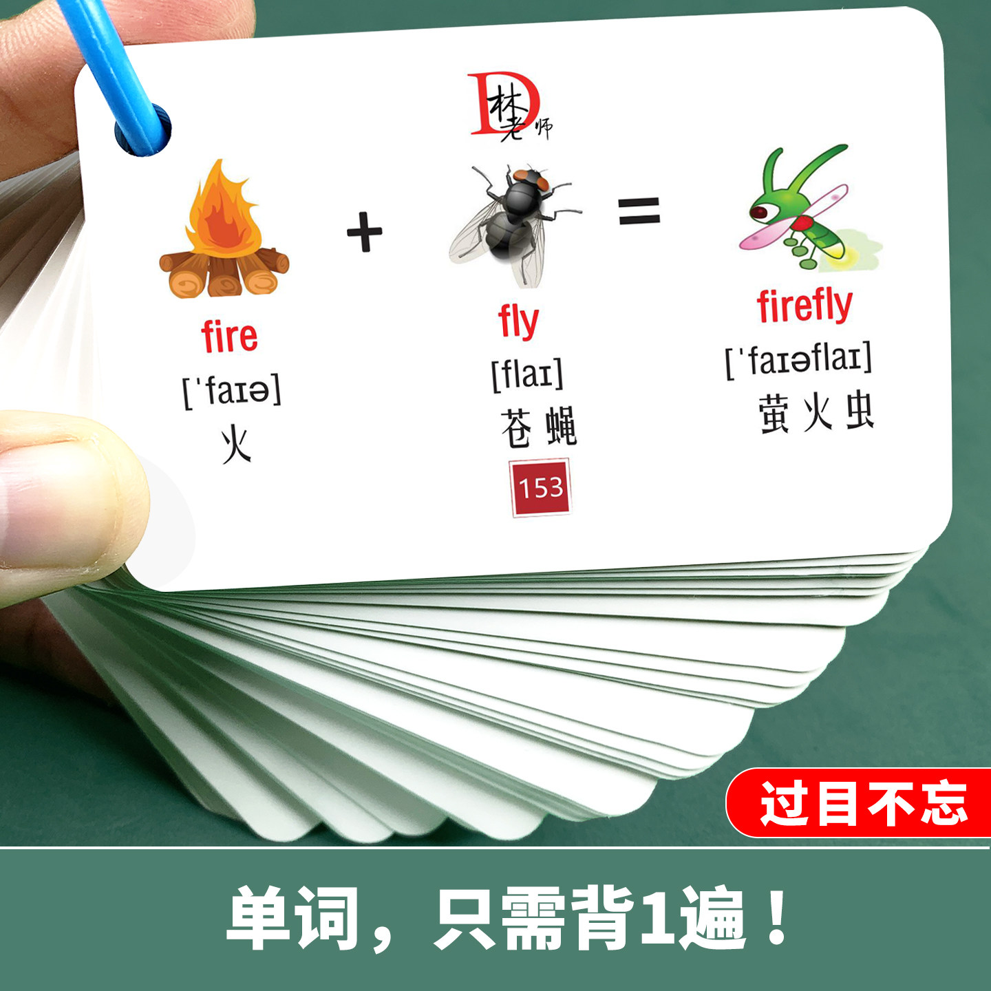 联想趣味速记法背英语单词卡