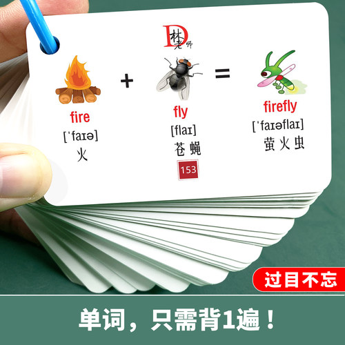 联想趣味速记法背英语单词卡