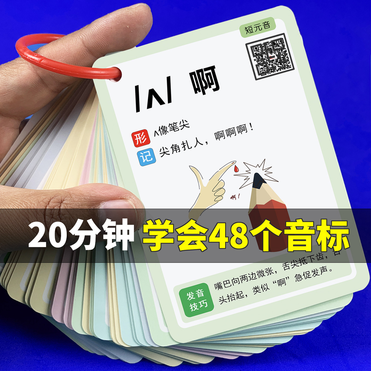 新版英语48个国际音标卡片