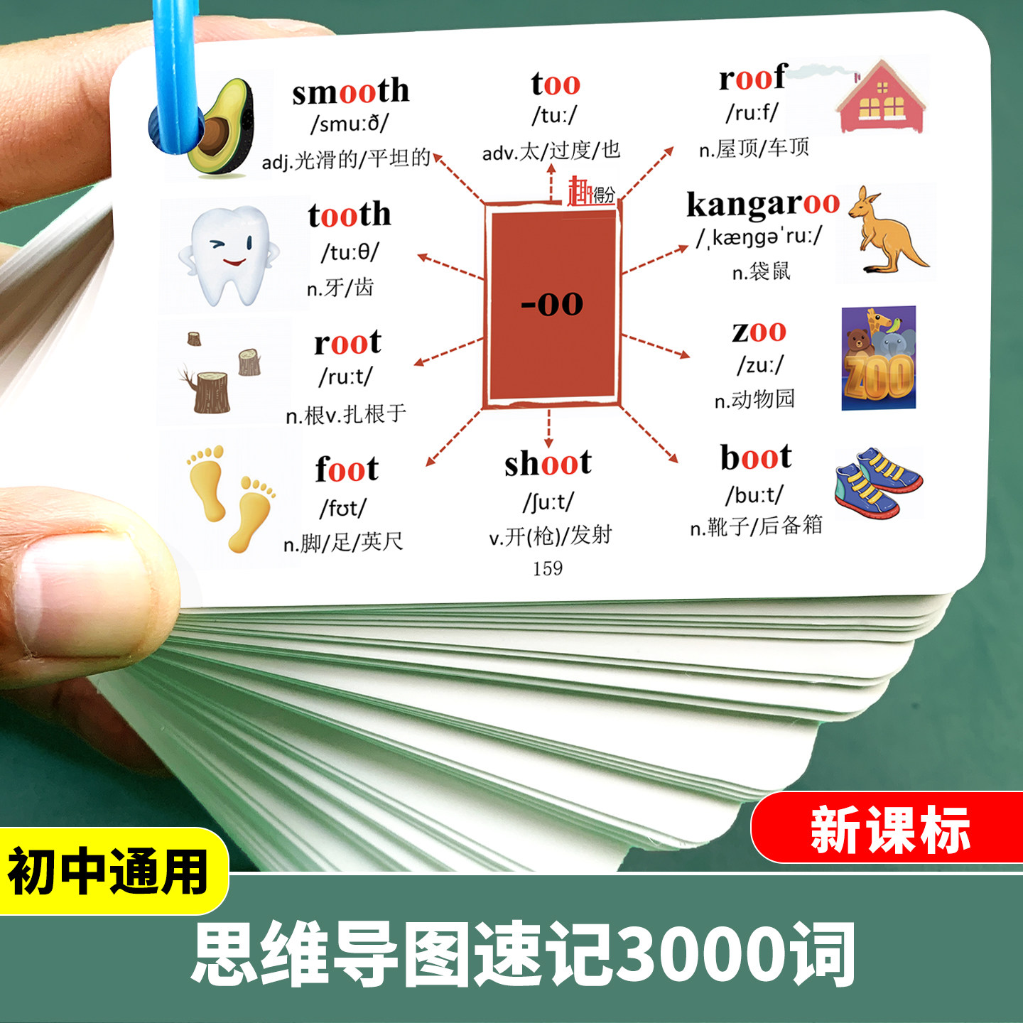 初中【新版】英语单词速记卡