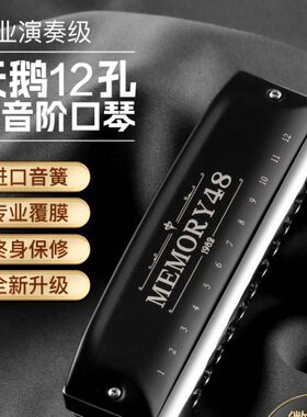 NC调SW48初学入门半音阶口琴A学生用12孔专业天鹅演奏练习乐器音