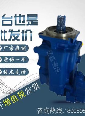 --BCV6CC/220P20油泵9--F格-Y-柱RS11VP20B士CM11-/-威塞RS